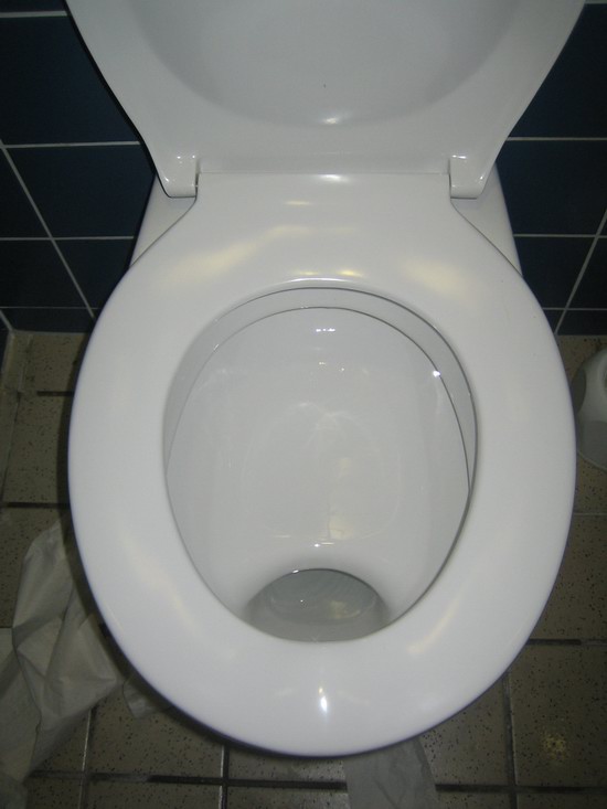 Austrian Toilet.jpg